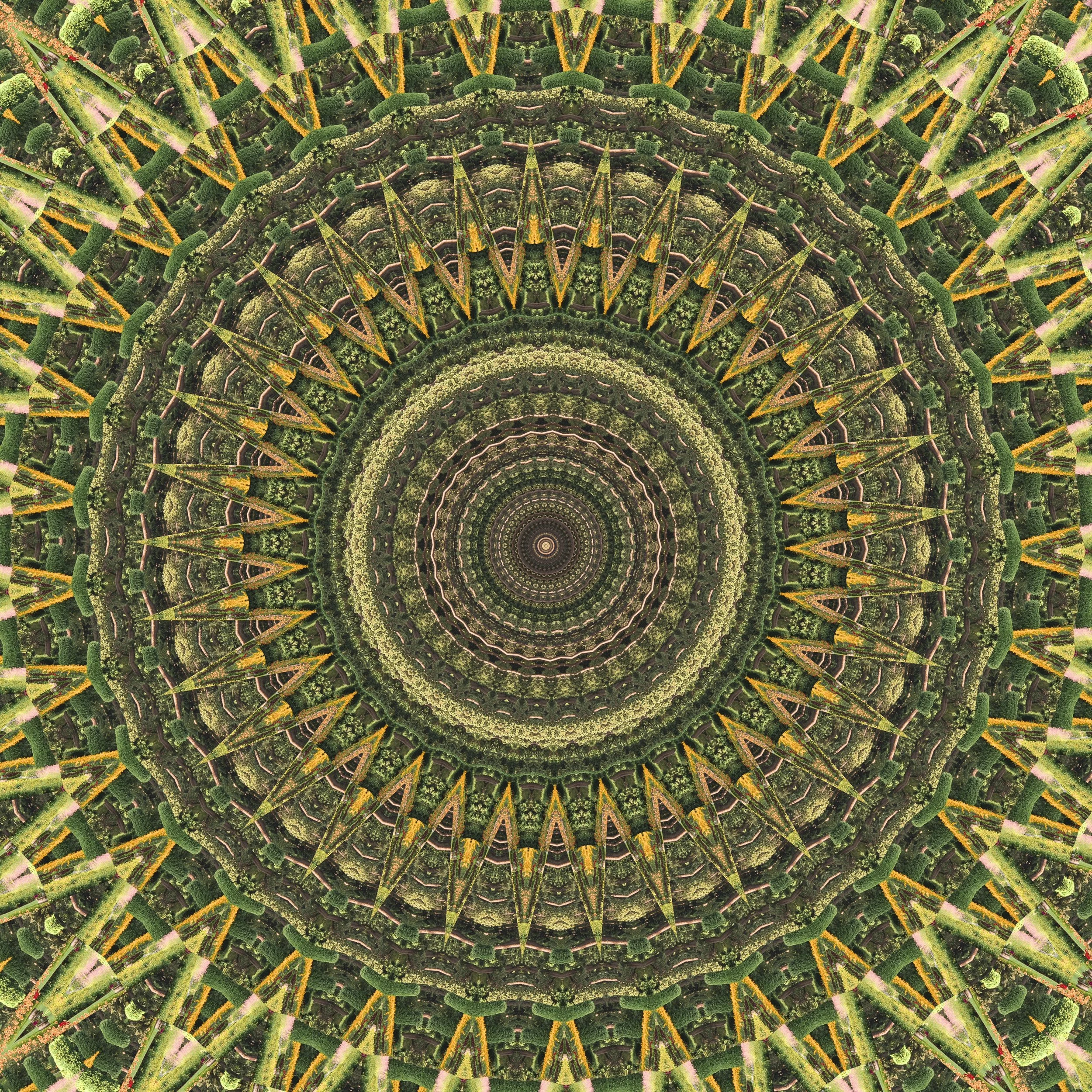 Image-2.jpg