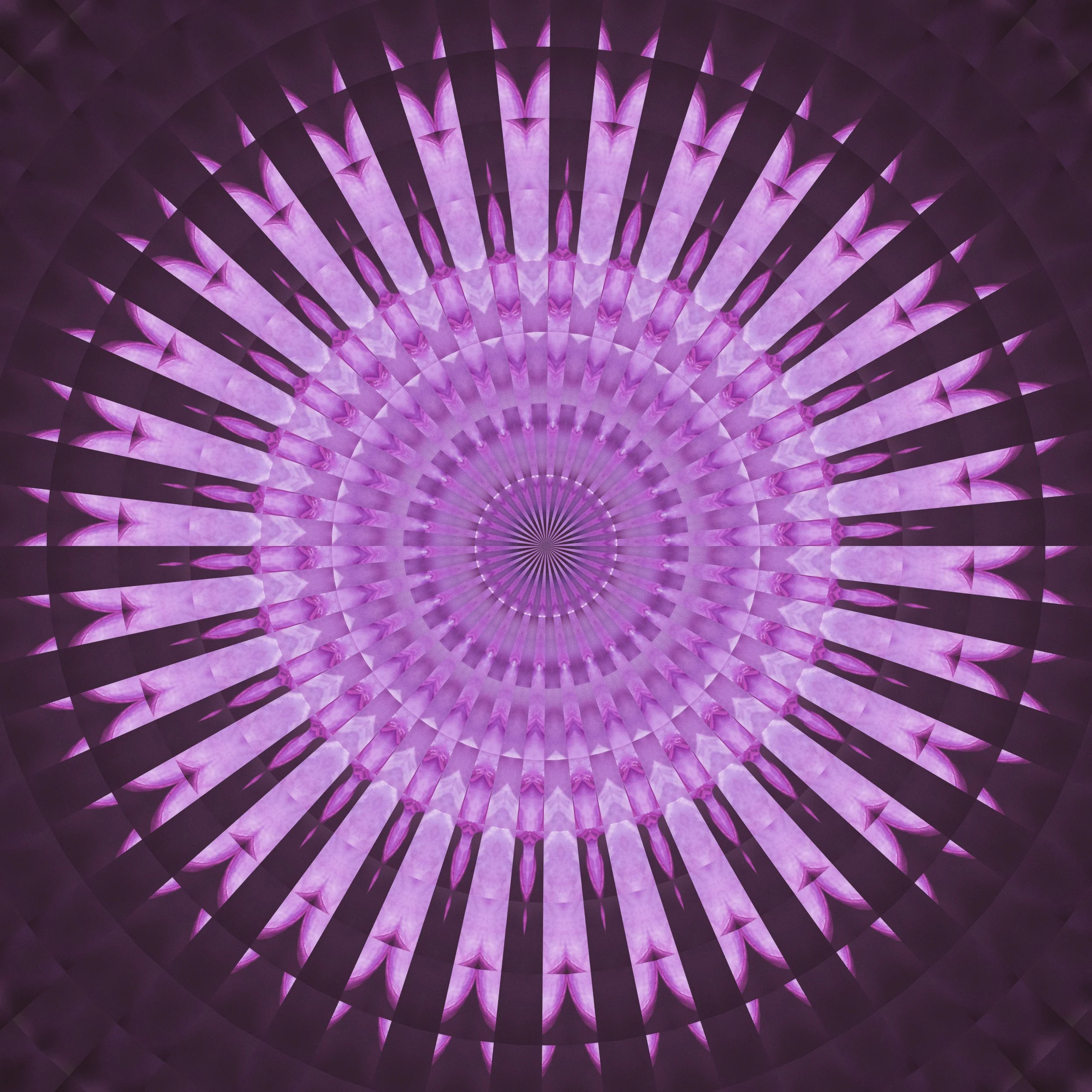 Manito Park Lilac Garden 2021- Mandala.jpg