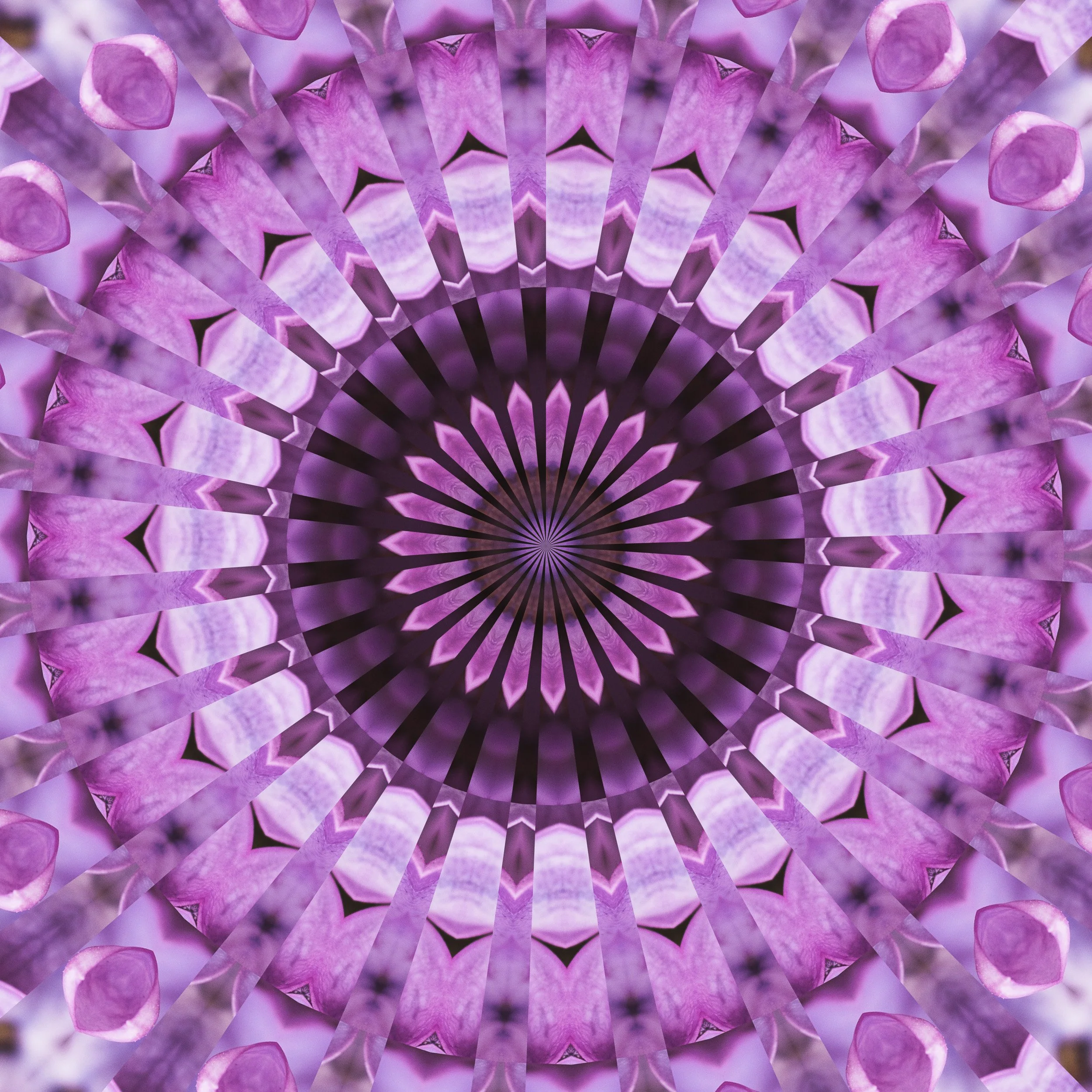 Manito Park Lilac Garden 2021-6  Mandala.jpg