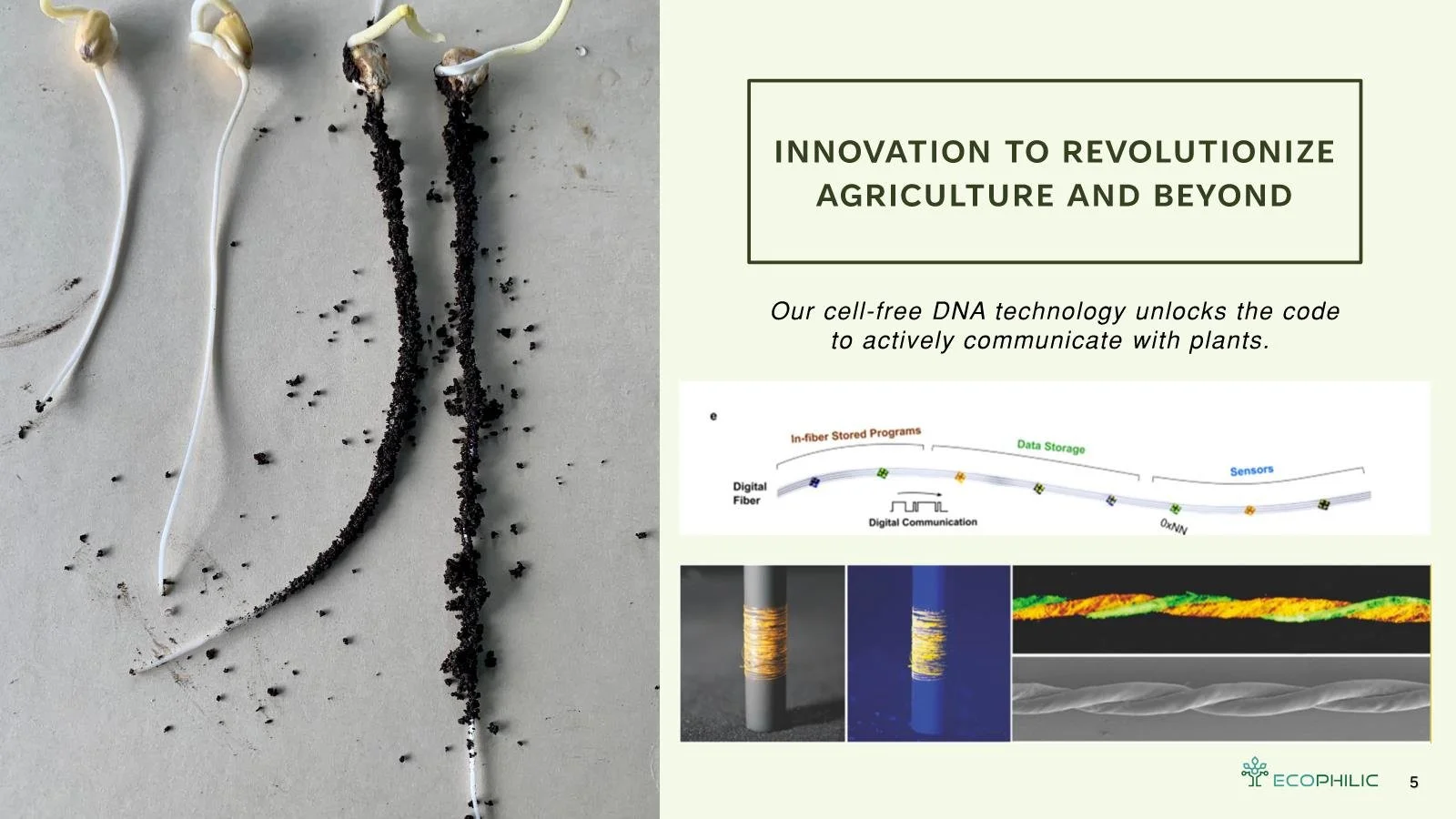 EcoPhilicDeck6-19-24 Page 005.jpg
