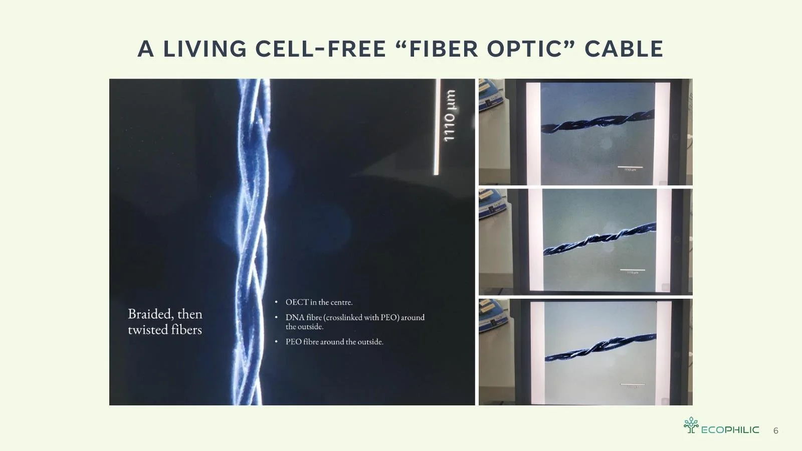 EcoPhilicDeck6-19-24 Page 006.jpg