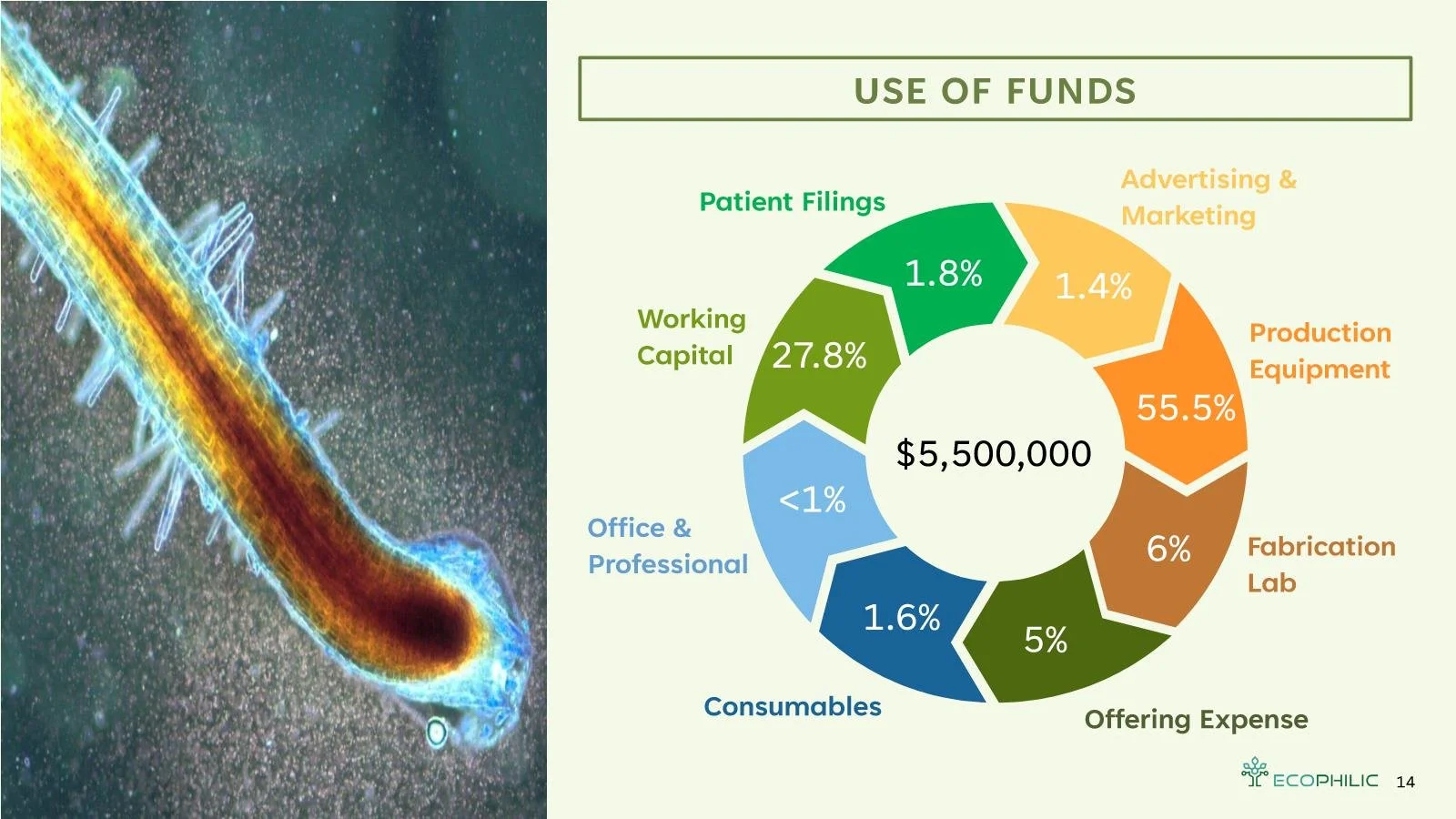 EcoPhilicDeck6-19-24 Page 014.jpg