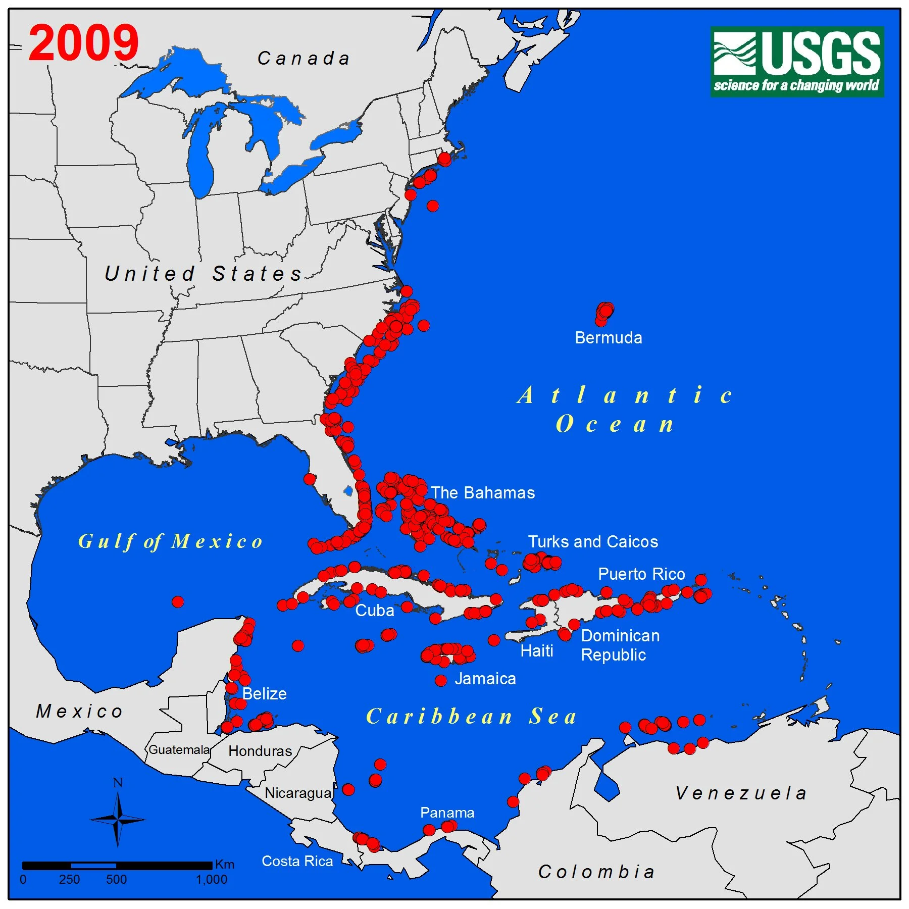 Lionfish2009USGS.jpg