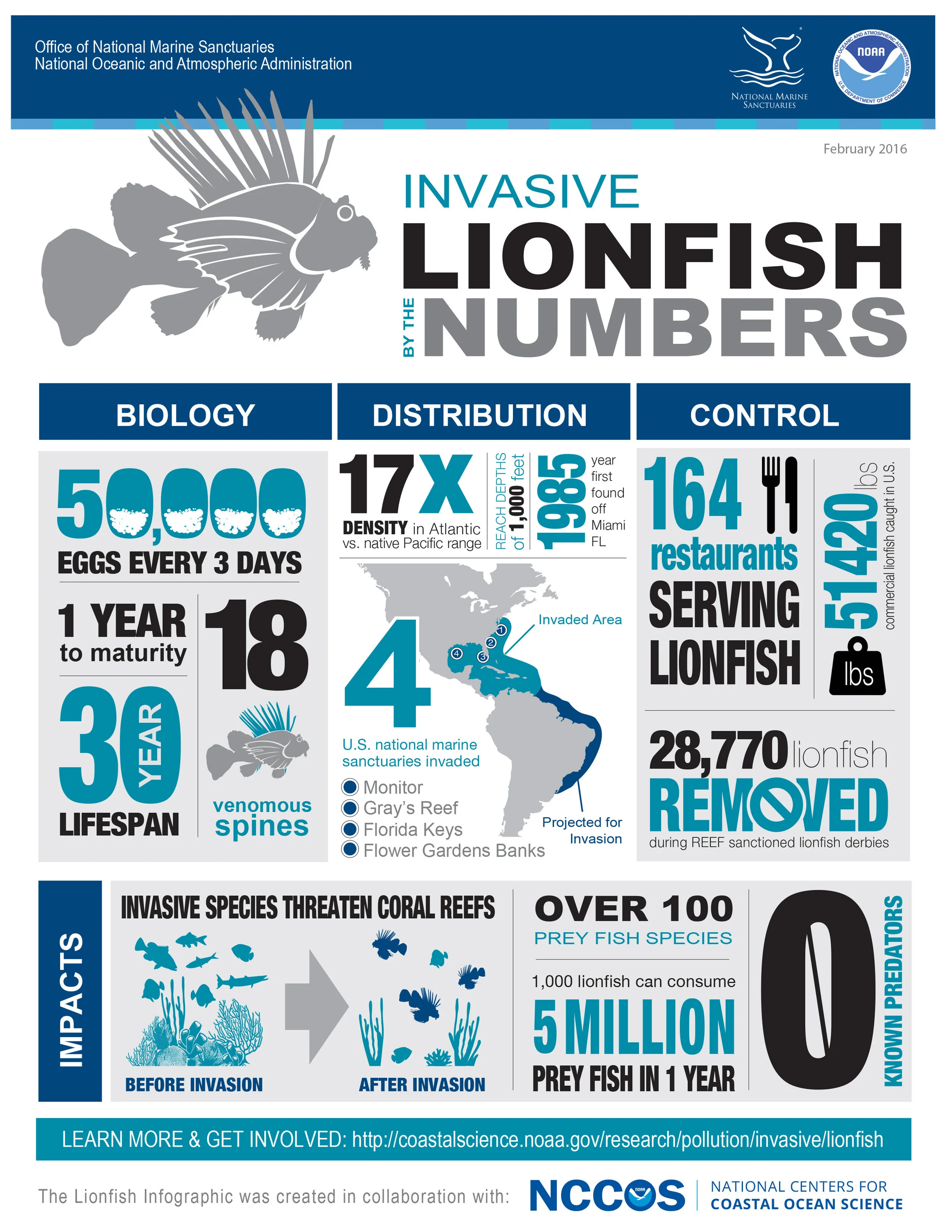 ONMS-NOAA LionfishBytheNumbers.jpg