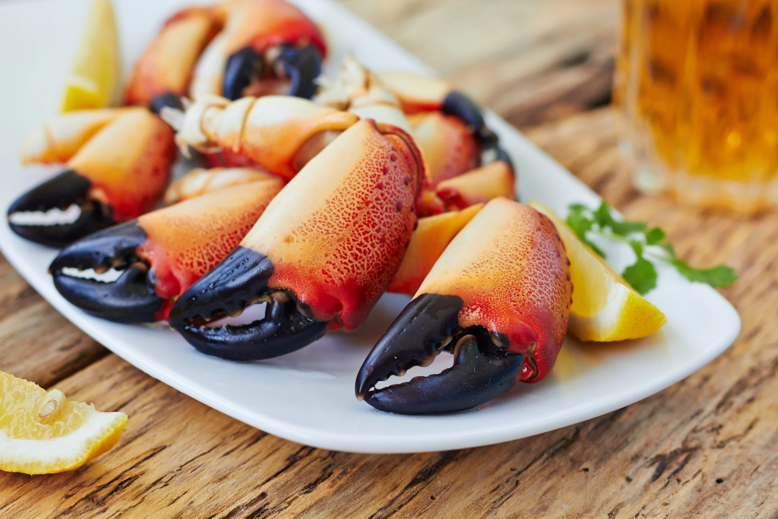 Time to Talk About Crabs