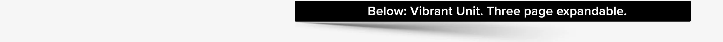 Vibrant-Unit--Three-page-expandable-_tag.jpg