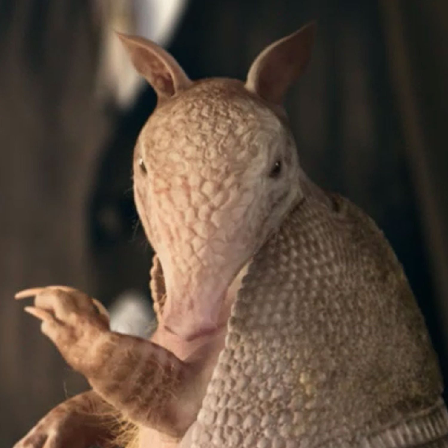 Reliant_Thumb.jpg