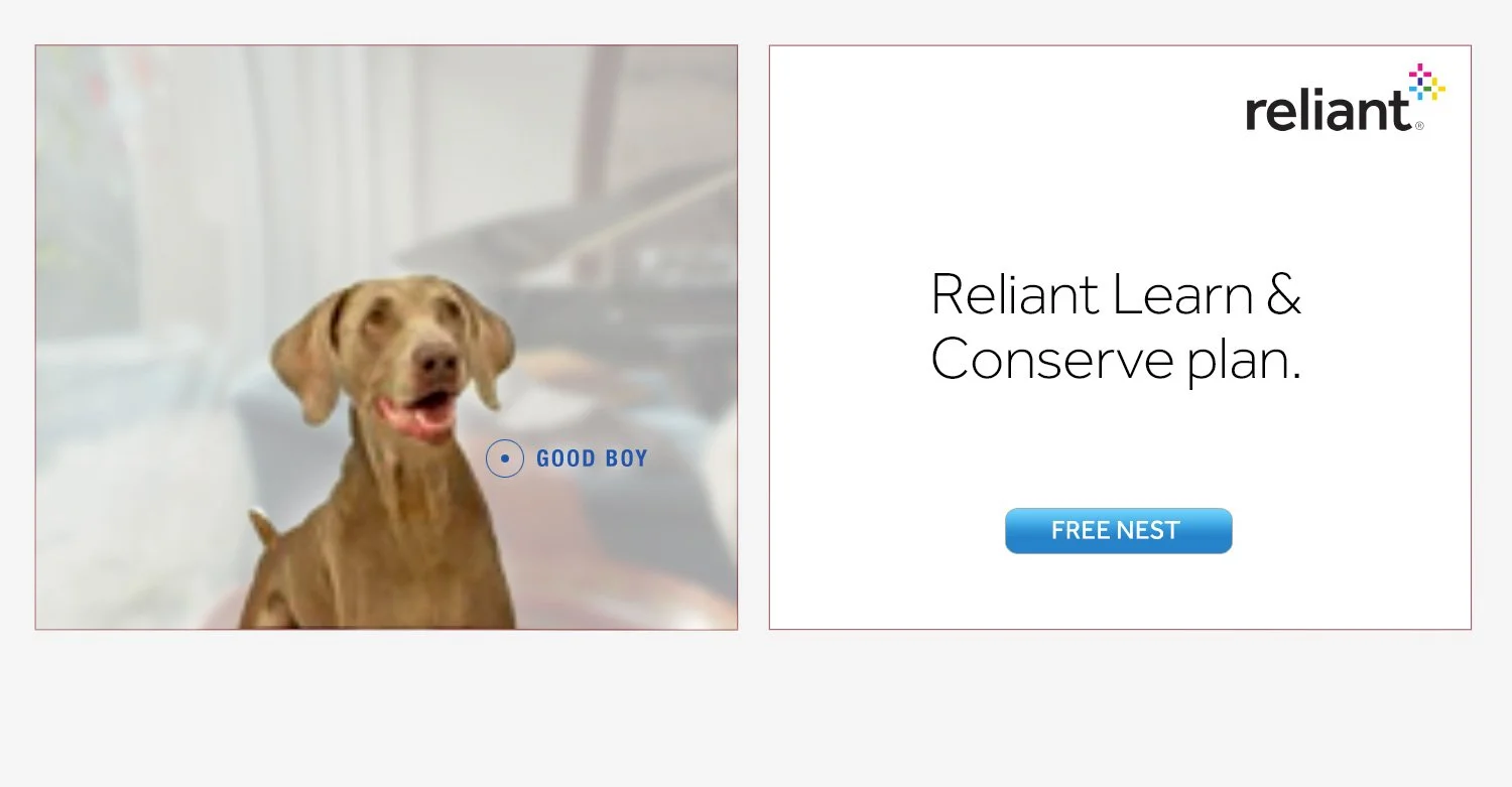 Reliant_Loyal_Dog_digital.jpg