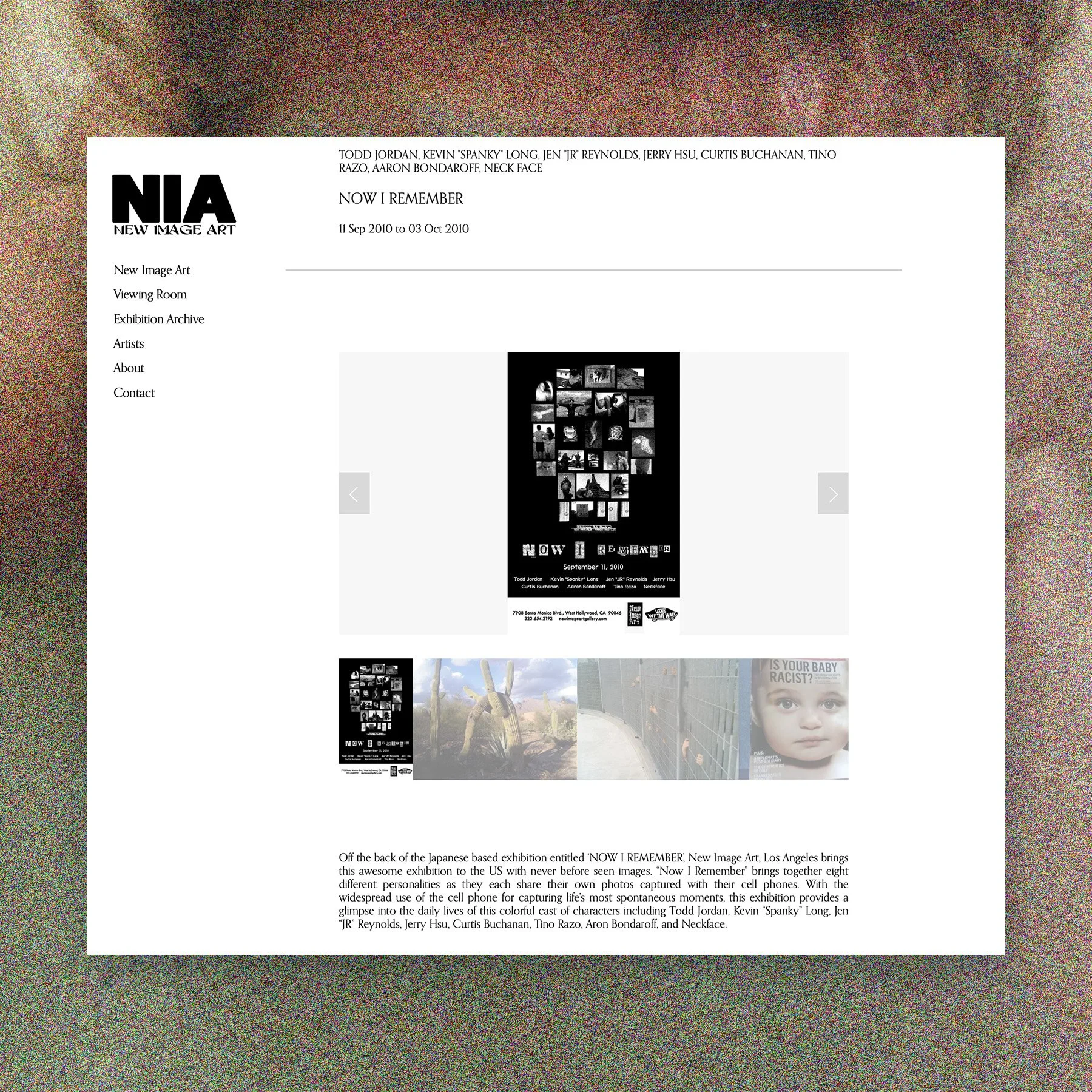 NIA Web Now I Remember Page copy.jpg