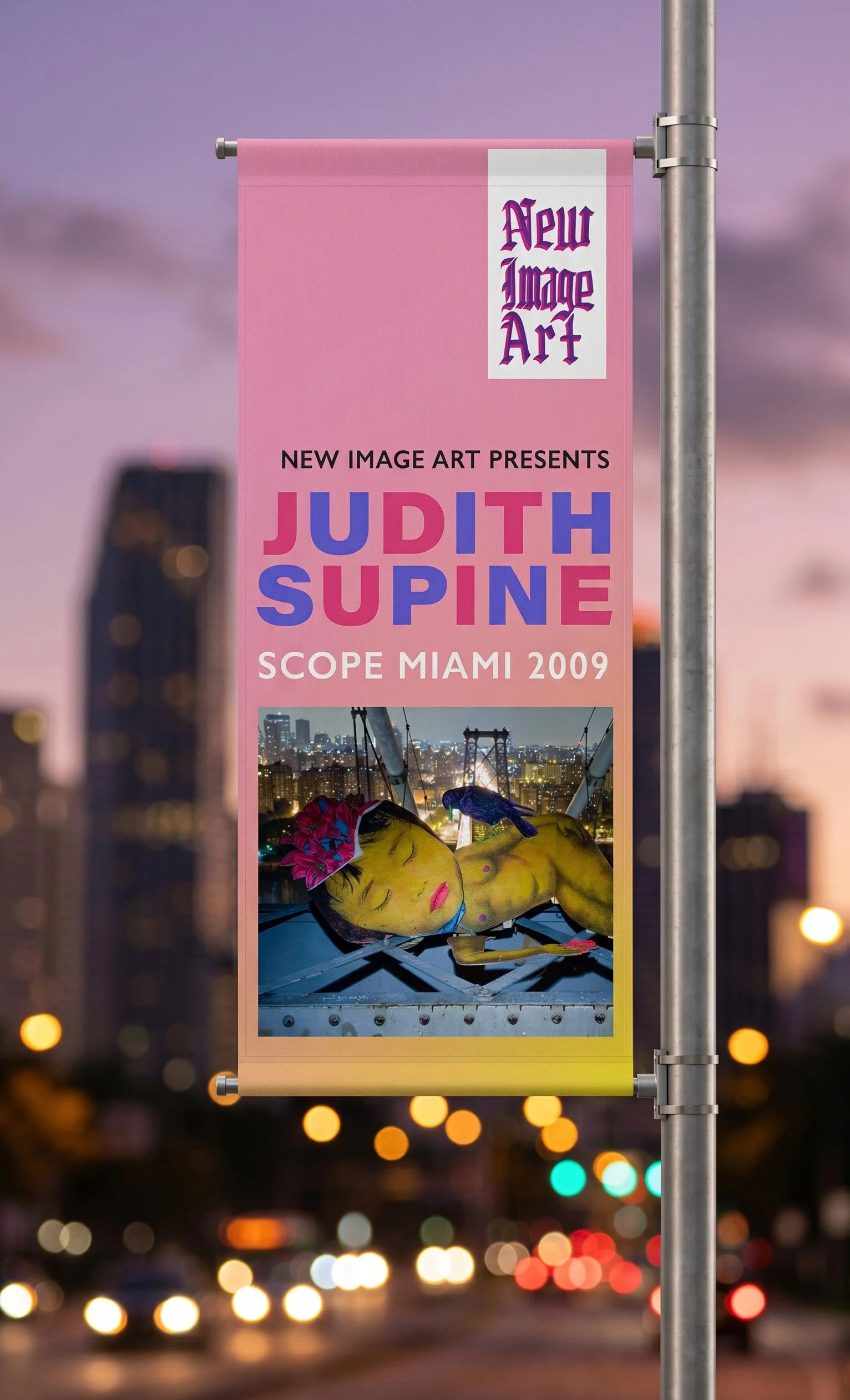 NIA Judith Supine Scope Banner2.jpg