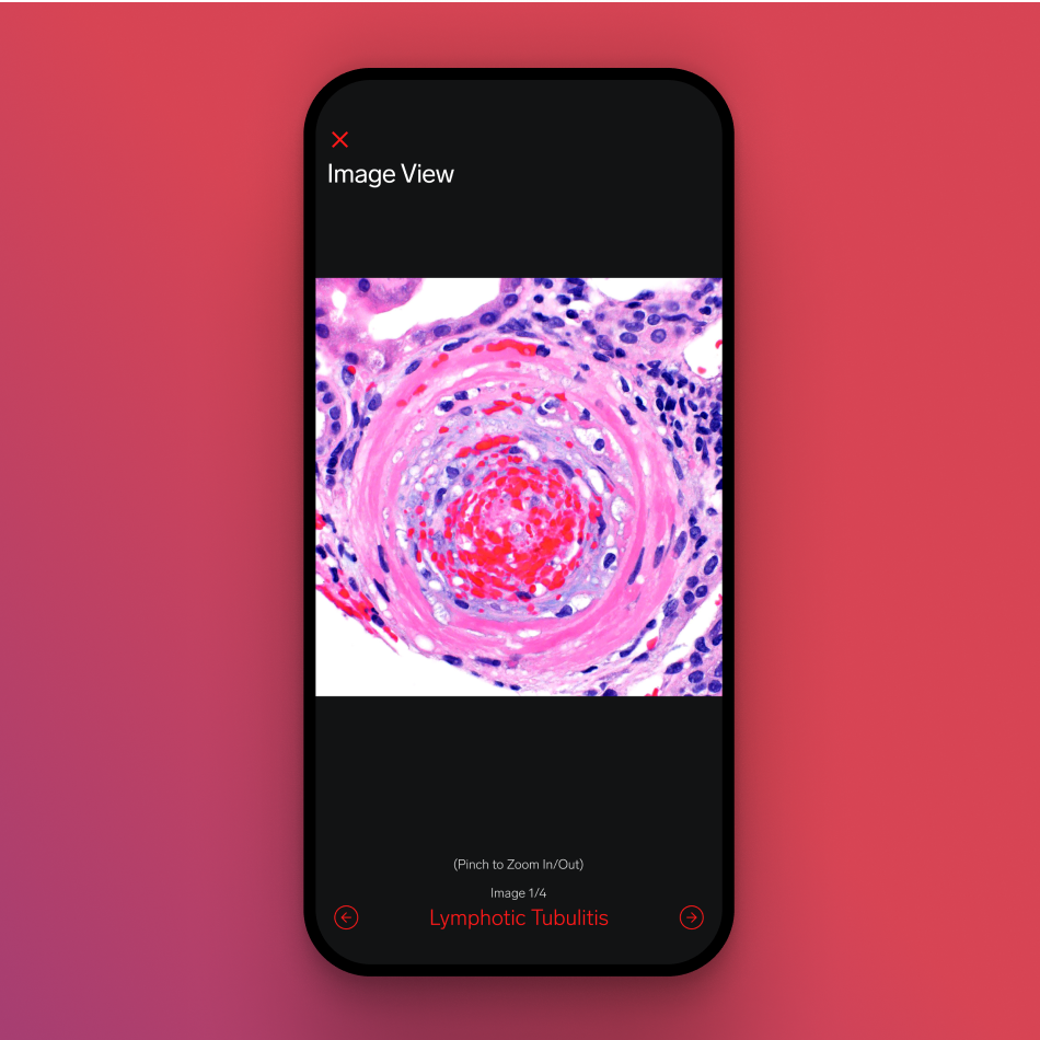 Arkana App Square@2x.png