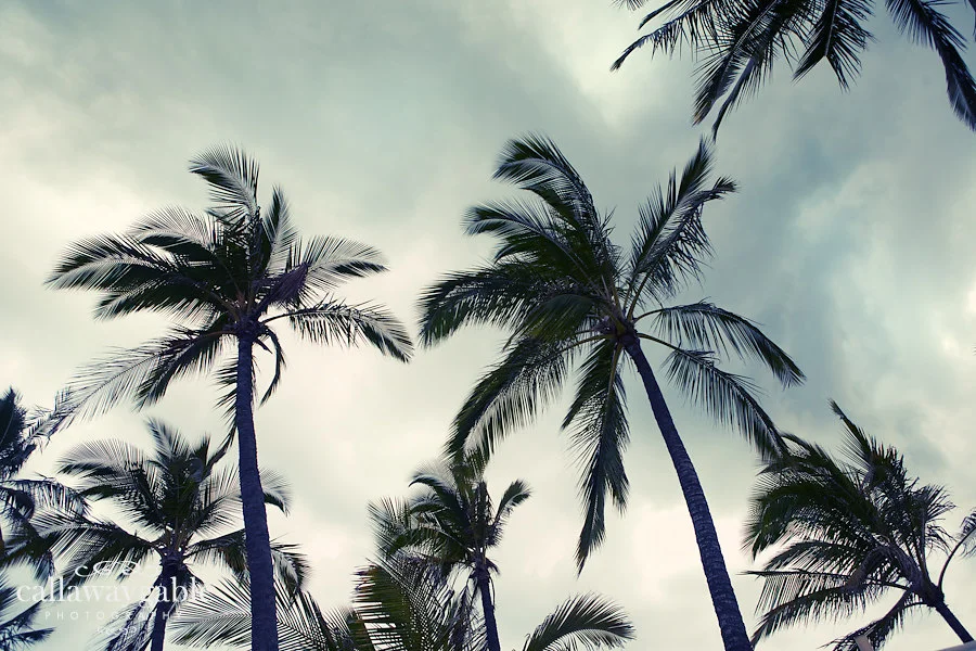 hawaii-wedding-photograph-940-Edit-2.jpg