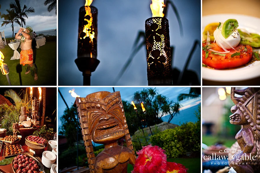 hawaii-wedding-photograph.jpg