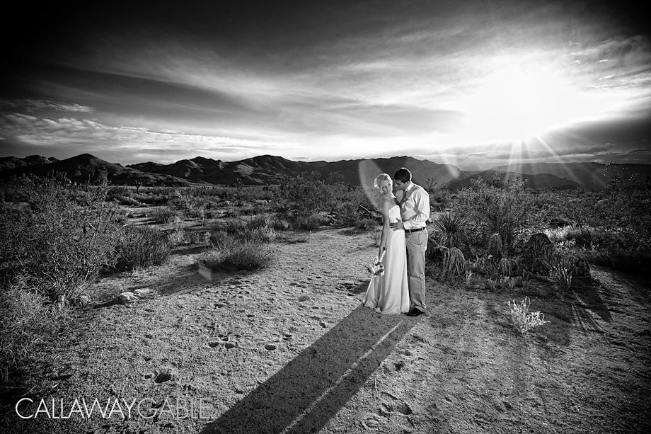 Palm-Springs-Wedding-Photo-5211-Edit