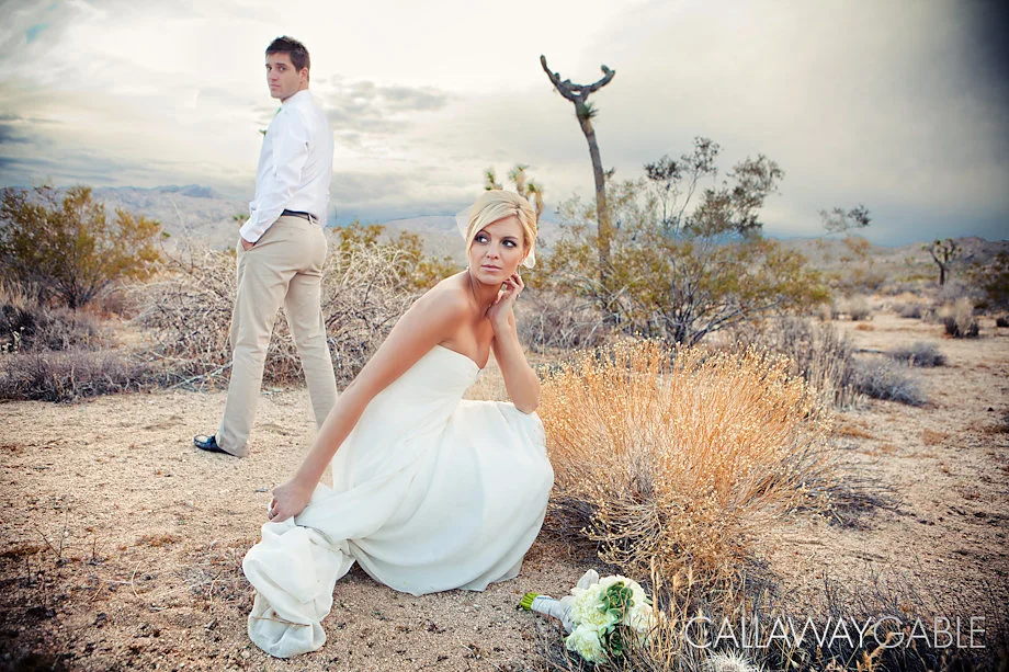 Palm-Springs-Wedding-Photo-5345-Edit