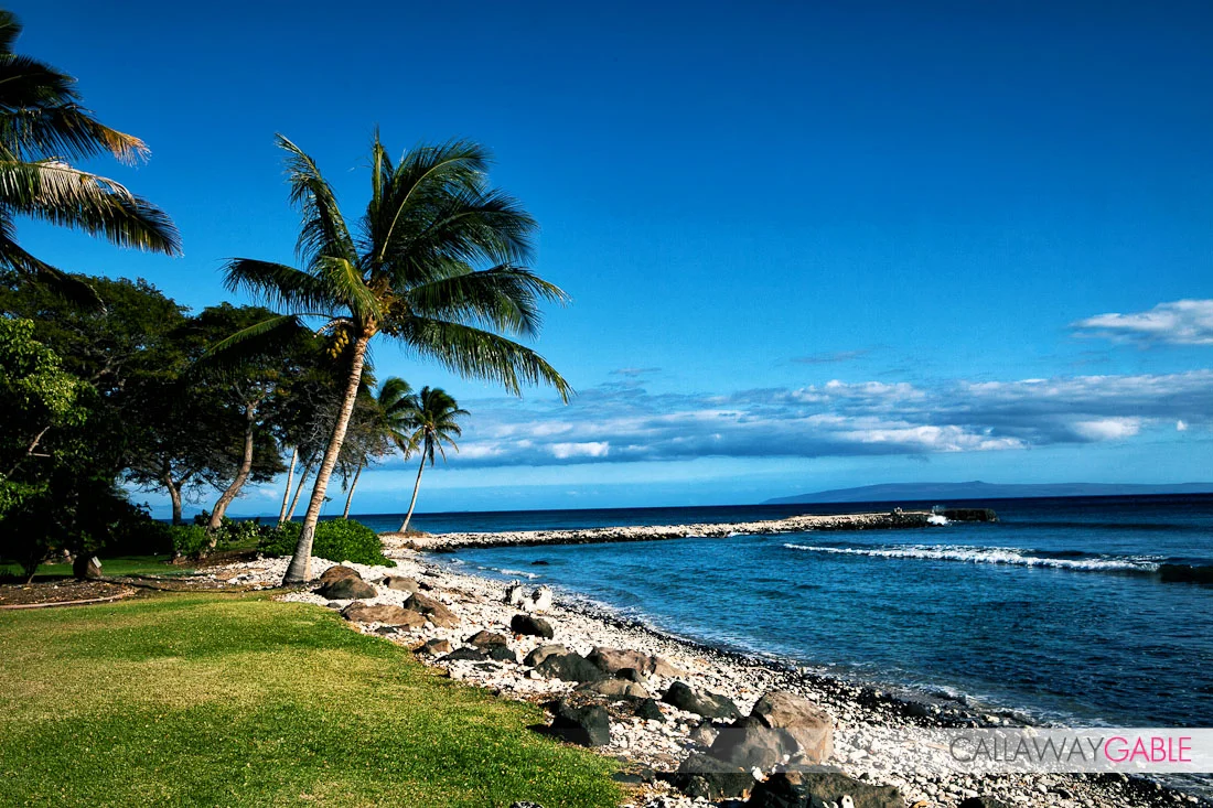 Olowalu Plantation Hawaii Wedding