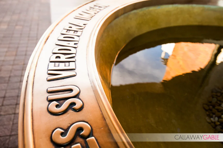 Cabo San Lucas Wedding