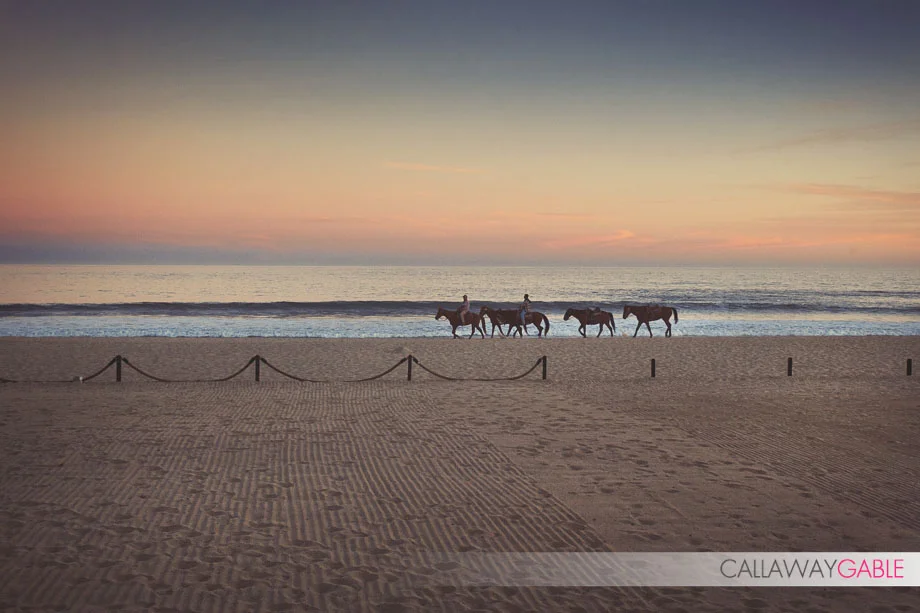 Cabo San Lucas - Cabo Azul Wedding