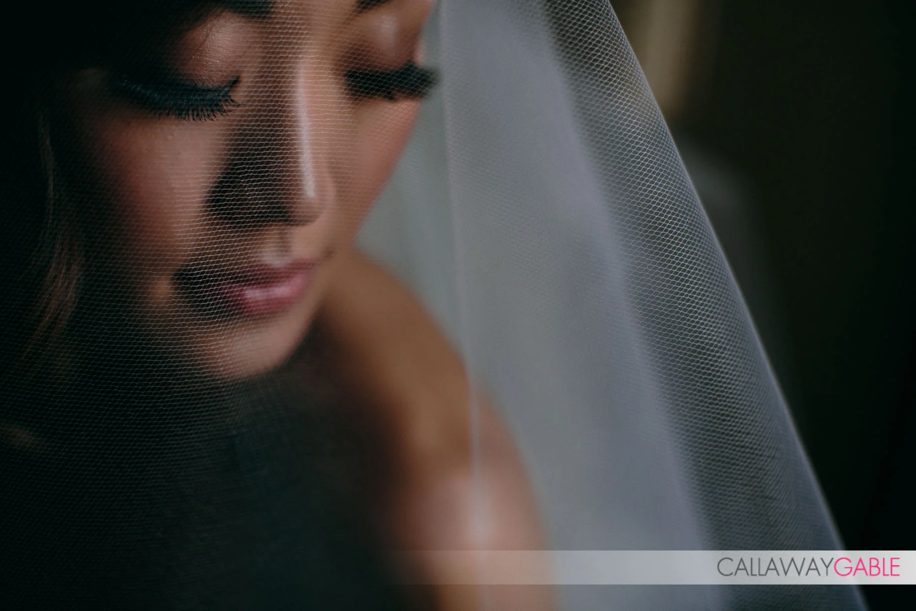 cicada-wedding-107