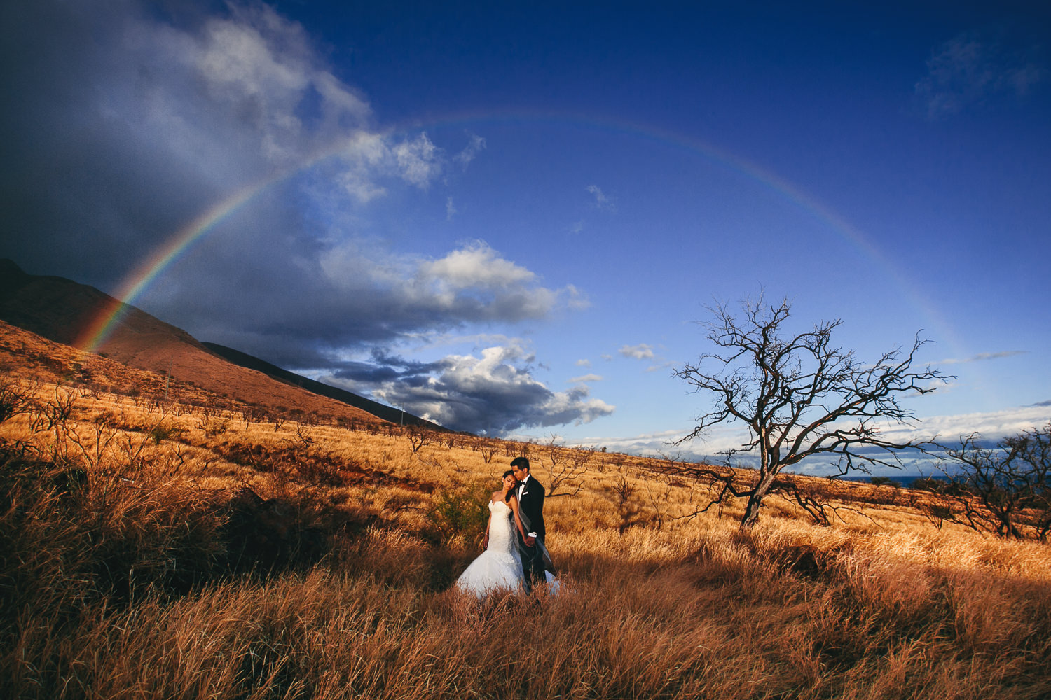 Callaway Gable is one of the best Los Angeles based wedding photographers