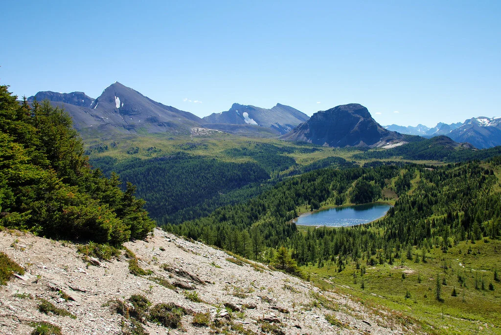 NEW! Level C Cirque will replace ALL 2020 Sunshine Meadows Hike and Yoga Day Trips