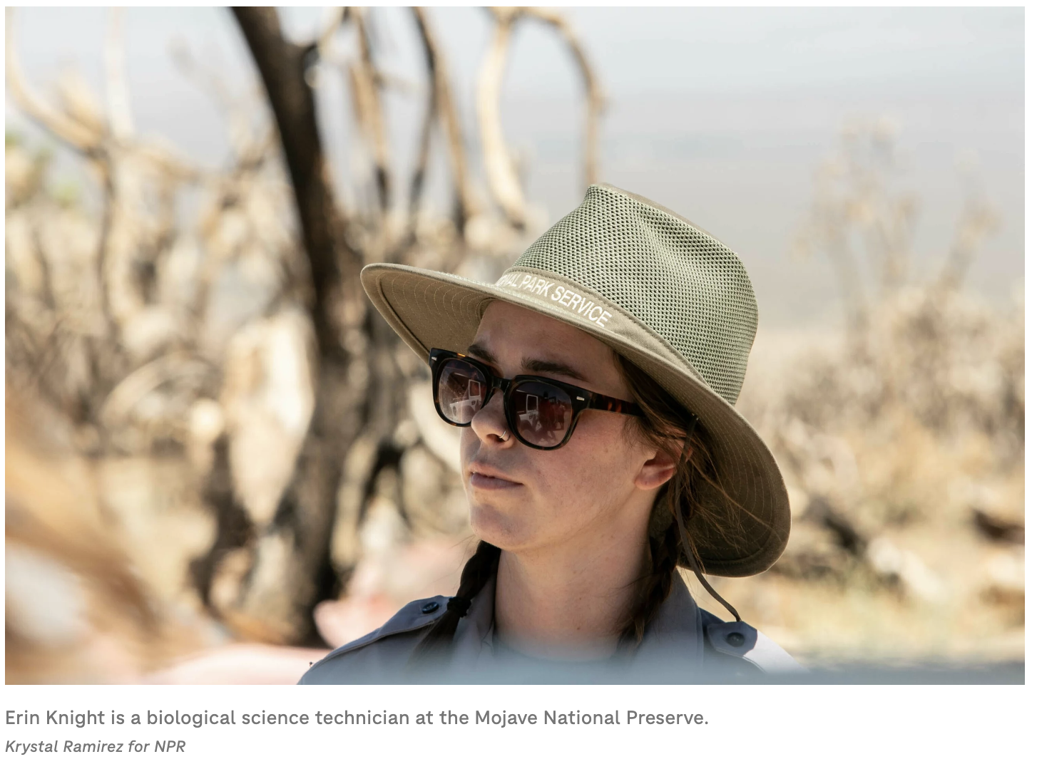 Screenshot 2024-04-18 at 3.42.08 PM.png