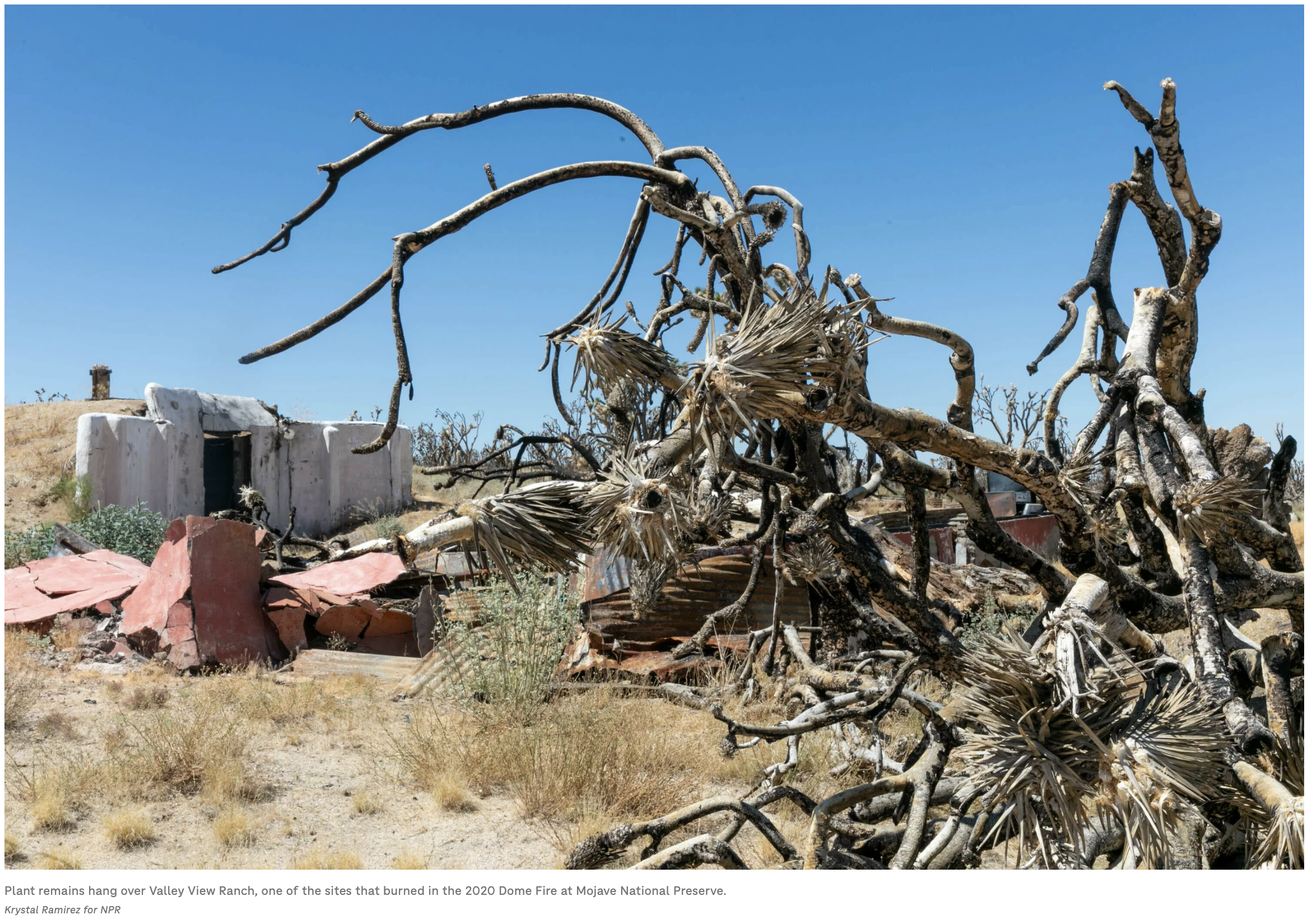 Screenshot 2024-04-18 at 3.41.59 PM.png