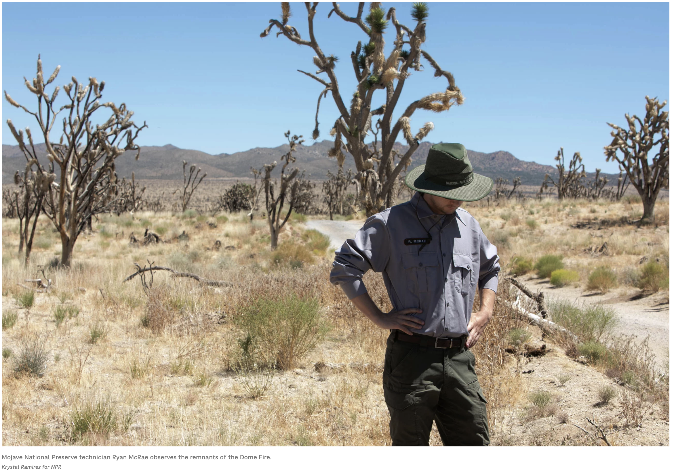 Screenshot 2024-04-18 at 3.42.27 PM.png