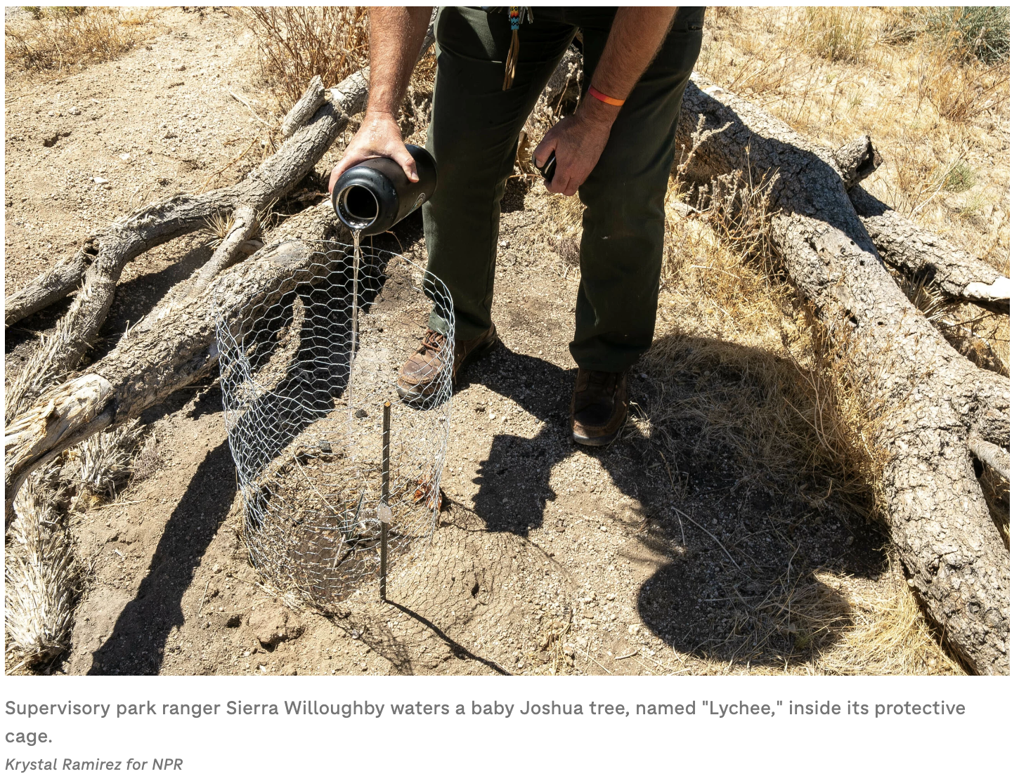 Screenshot 2024-04-18 at 3.42.40 PM.png