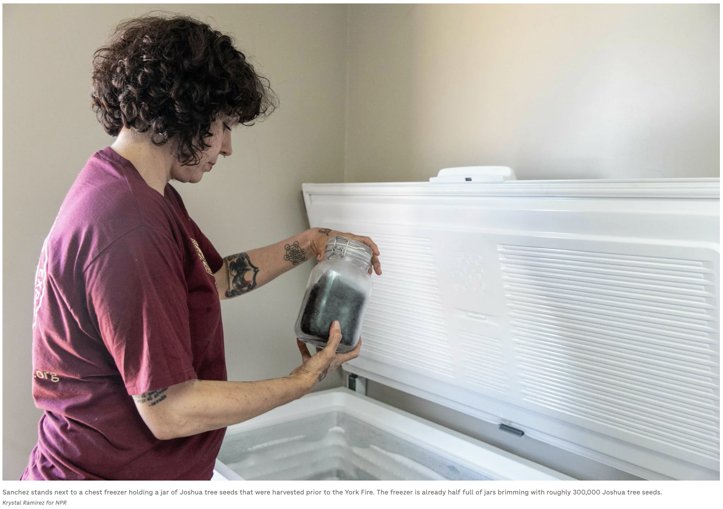 Screenshot 2024-04-18 at 3.43.24 PM.png