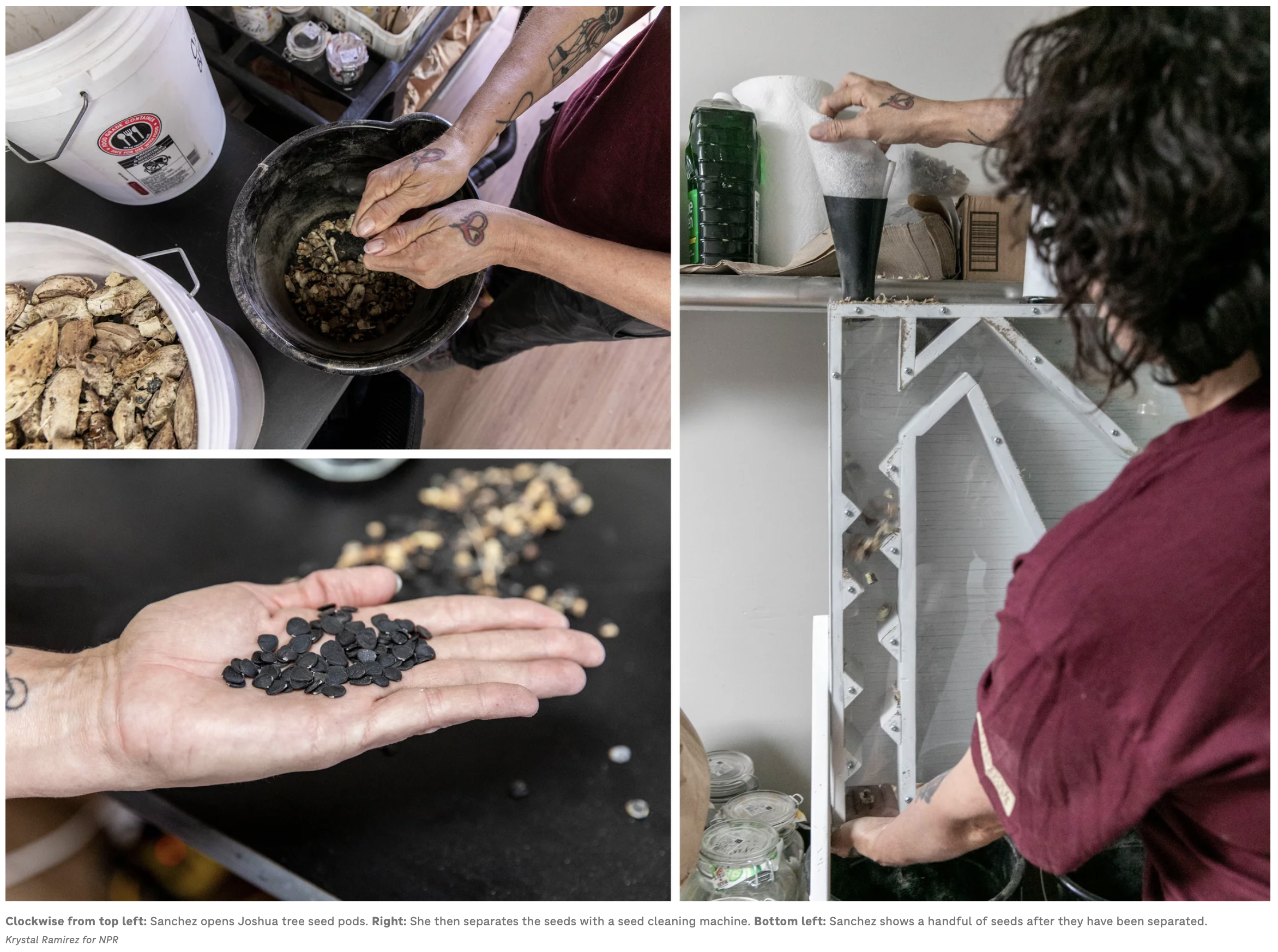 Screenshot 2024-04-18 at 3.43.13 PM.png