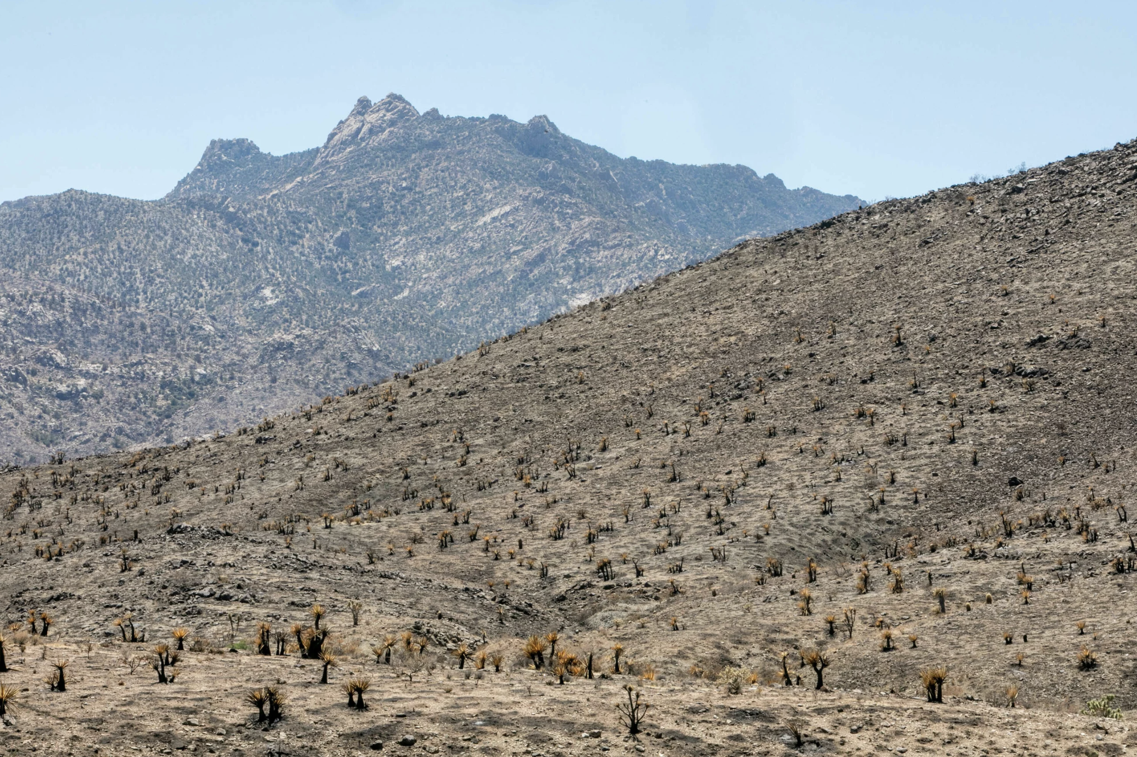 Screenshot 2024-04-18 at 3.41.27 PM.png