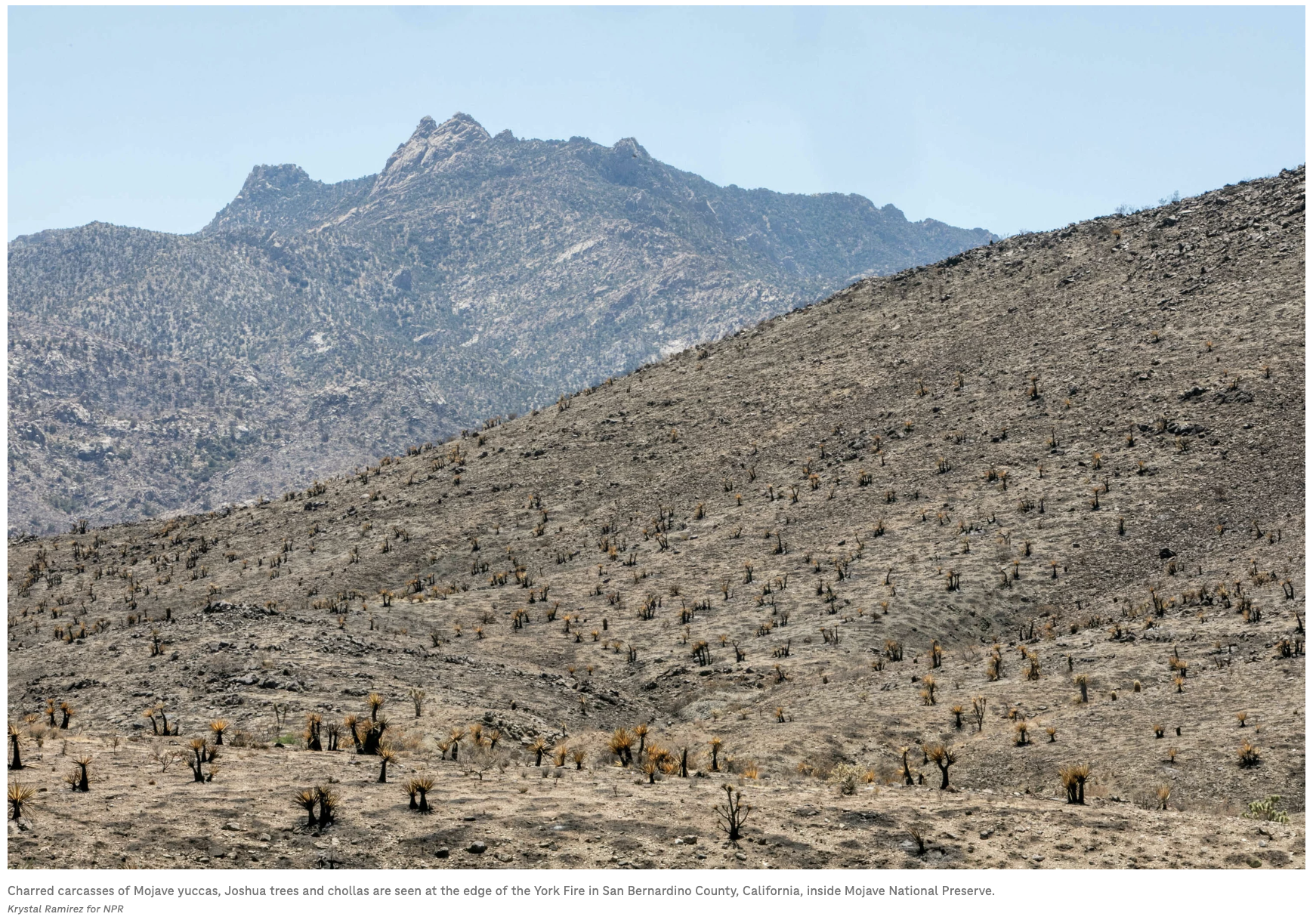 Screenshot 2024-04-18 at 3.40.43 PM.png