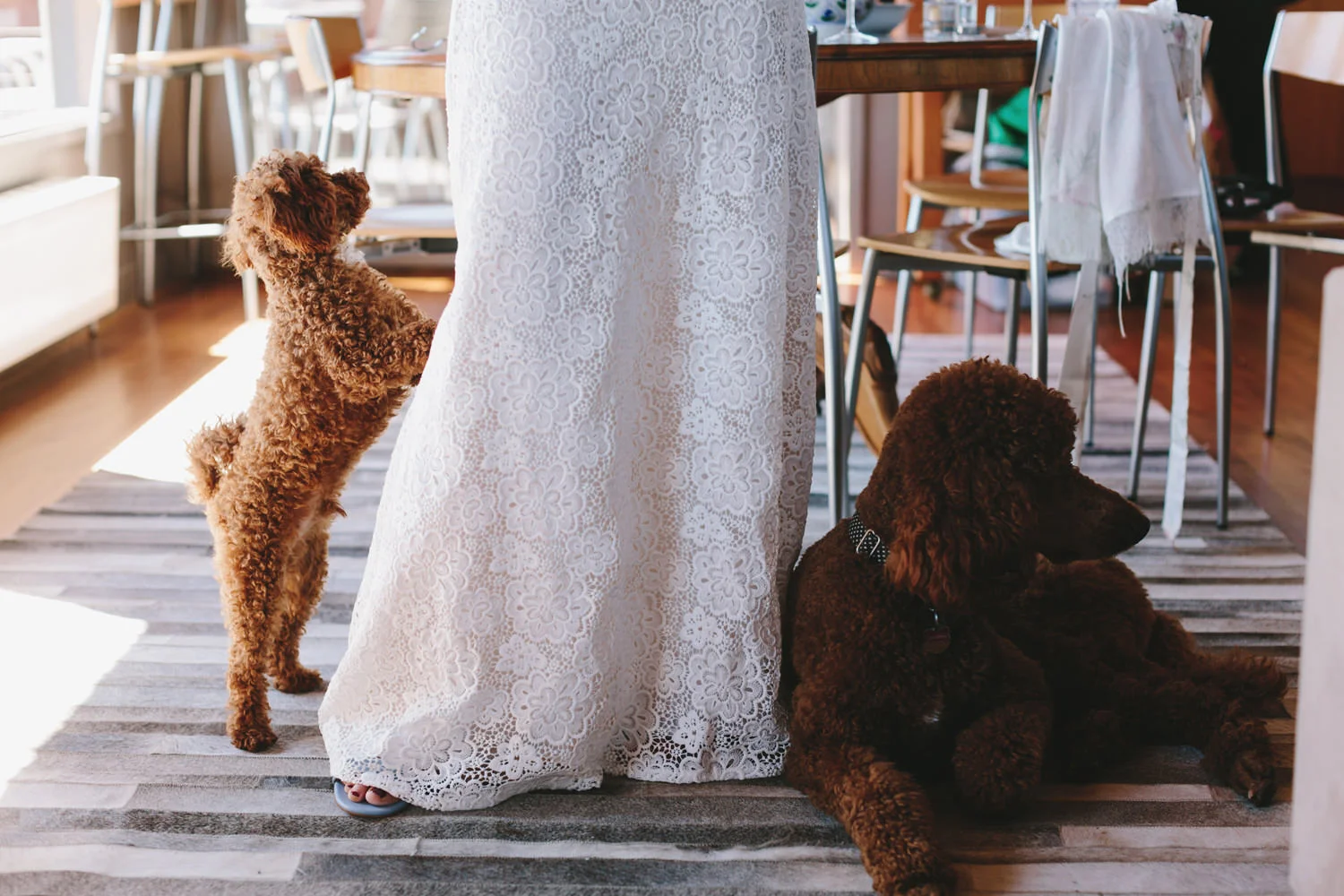 033-Daylesford_Wedding_Lewis_Diana.jpg