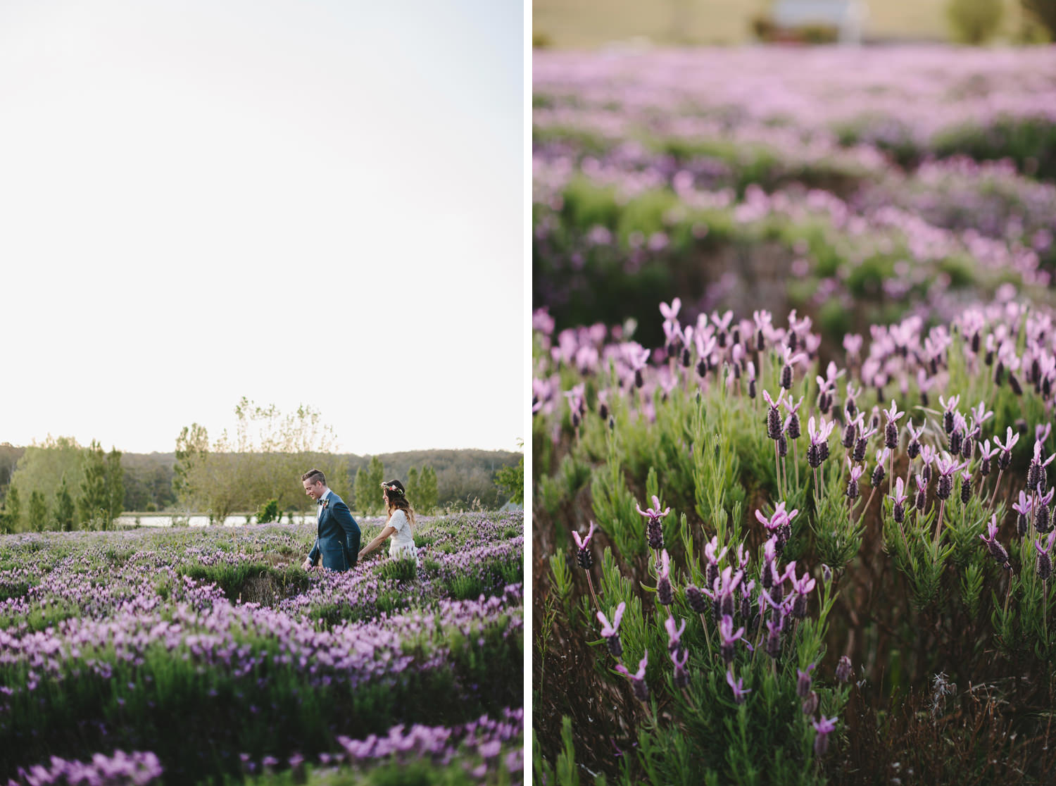 147-Daylesford_Wedding_Lewis_Diana.jpg