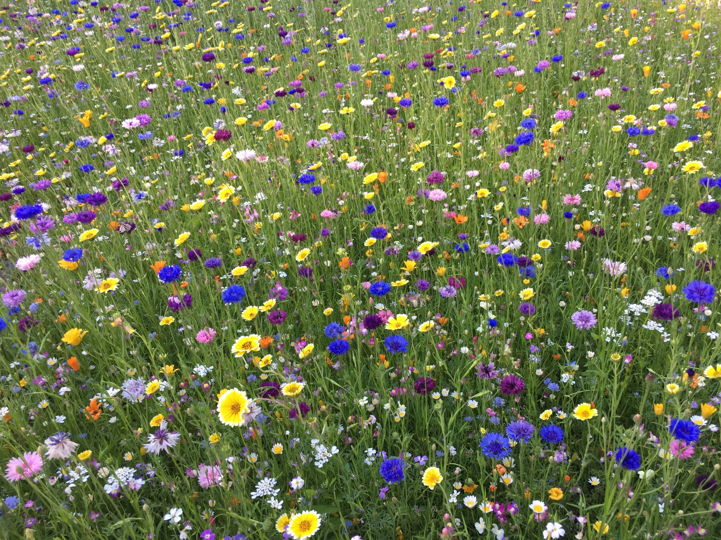 Estimation Resources