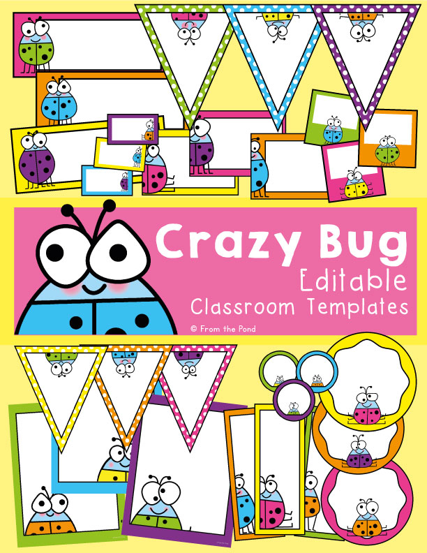 Crazy Bug Classroom Decor