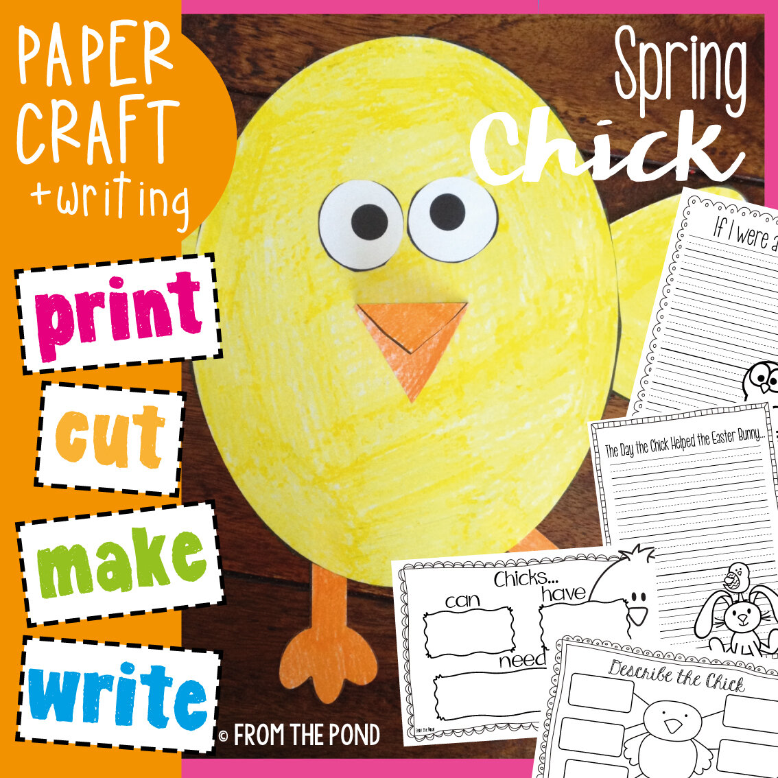 Spring Chick Craft