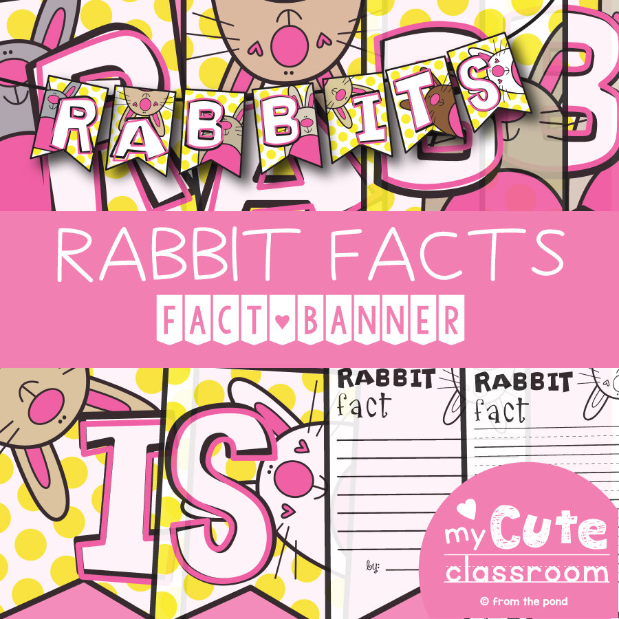 Rabbit Facts Banner