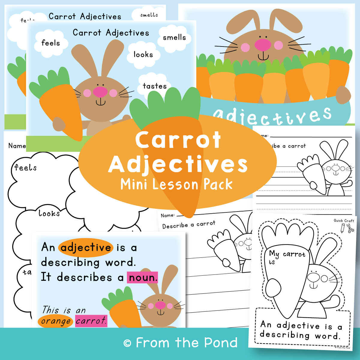 Adjectives Mini Lessons