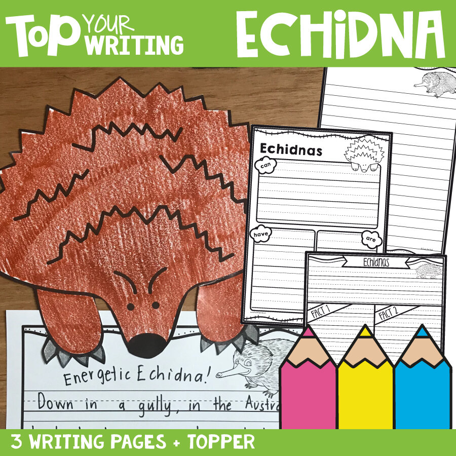 echidna-toppe-rpic-01.jpg