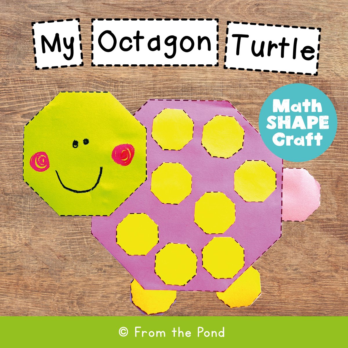 octagon-turtle-.jpg