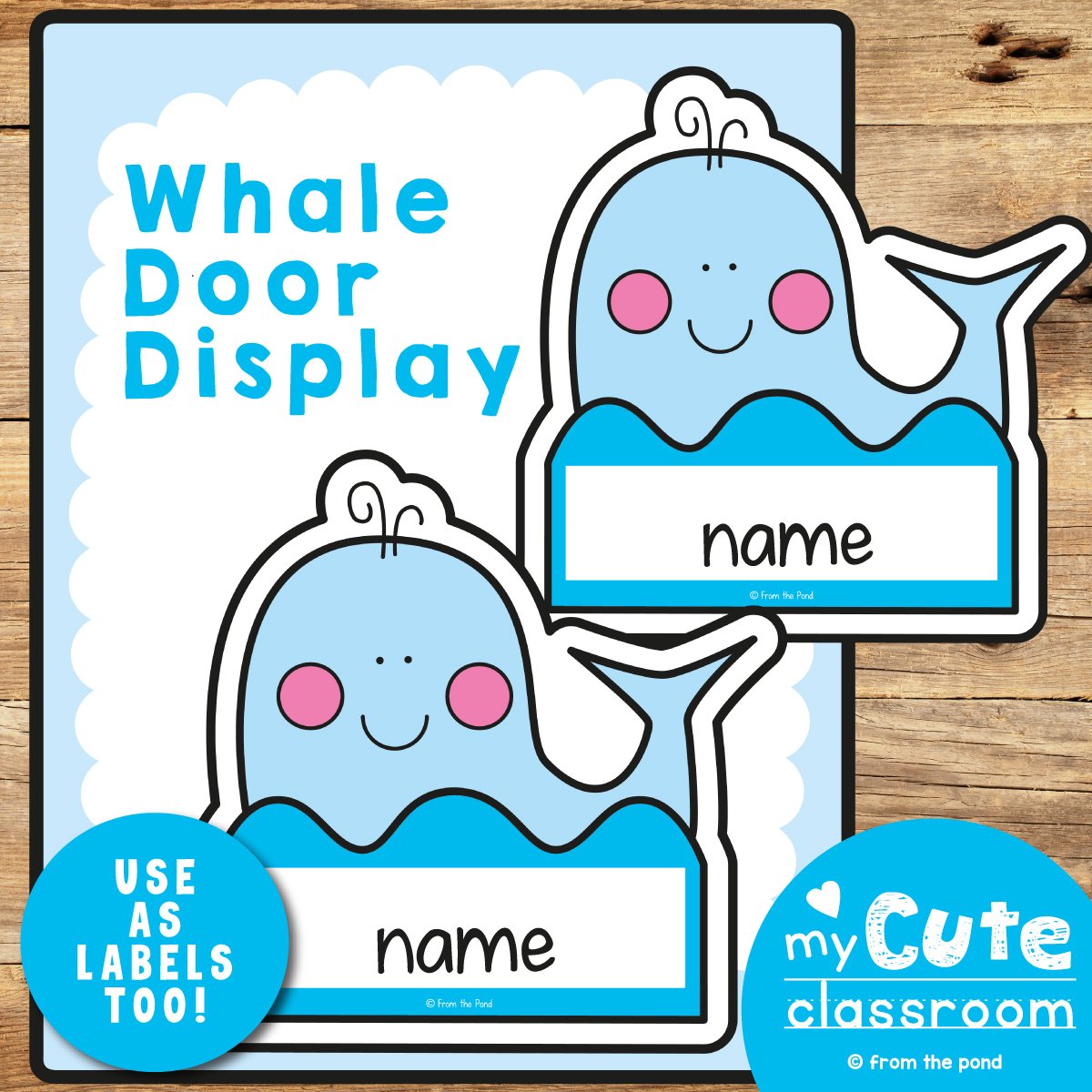 Whale Door Display