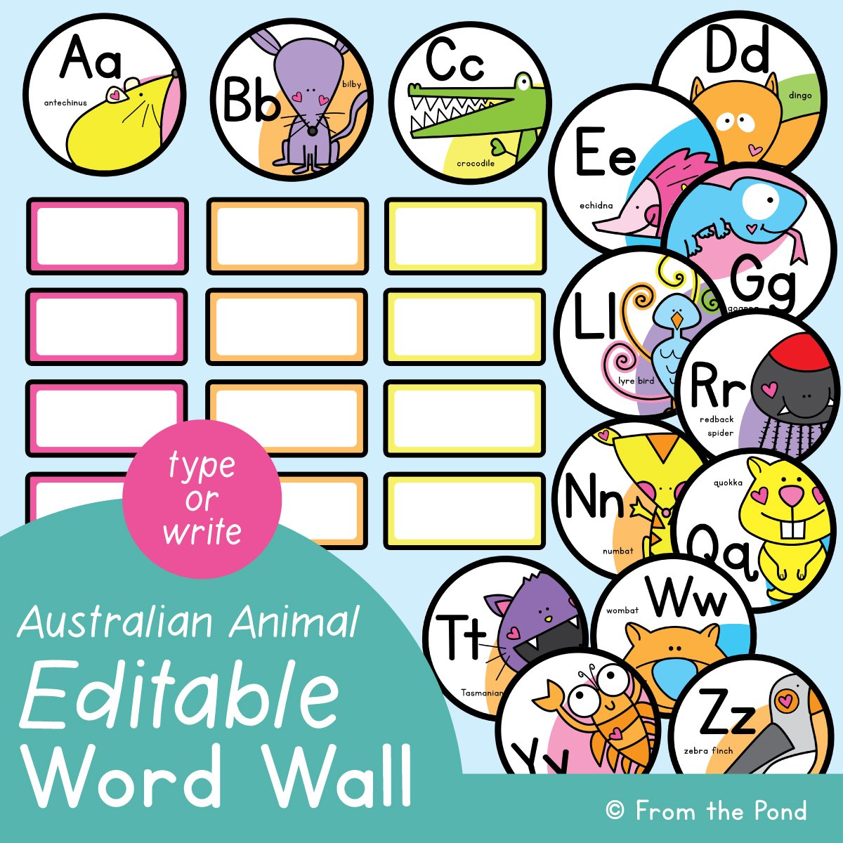 Word Wall Cards
