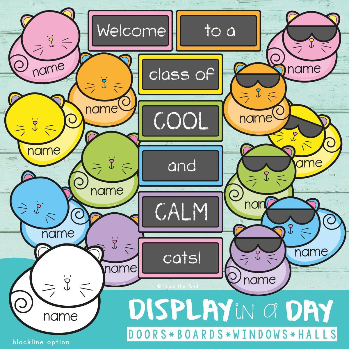 Cool and Calm Cats Display