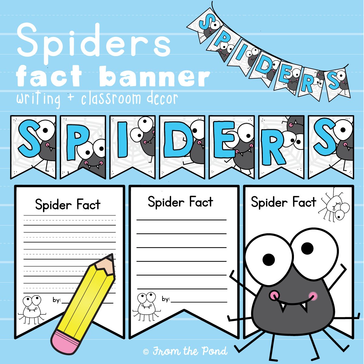 Spider Facts Banner