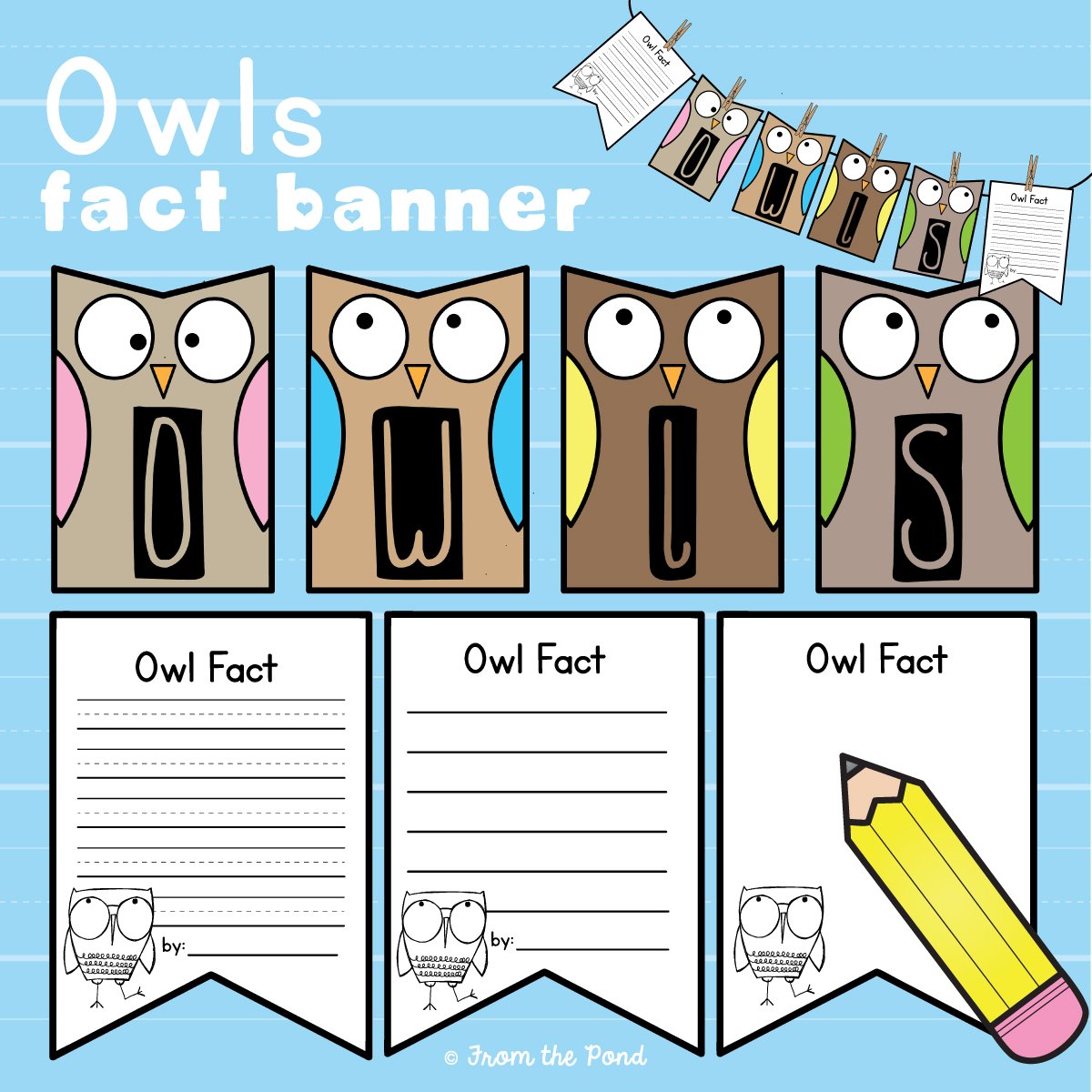 Owl Fact Banner
