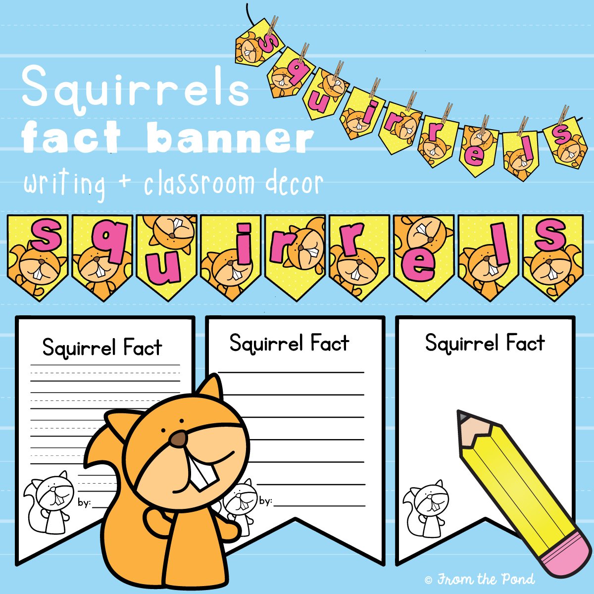 Squirrel Fact Banner