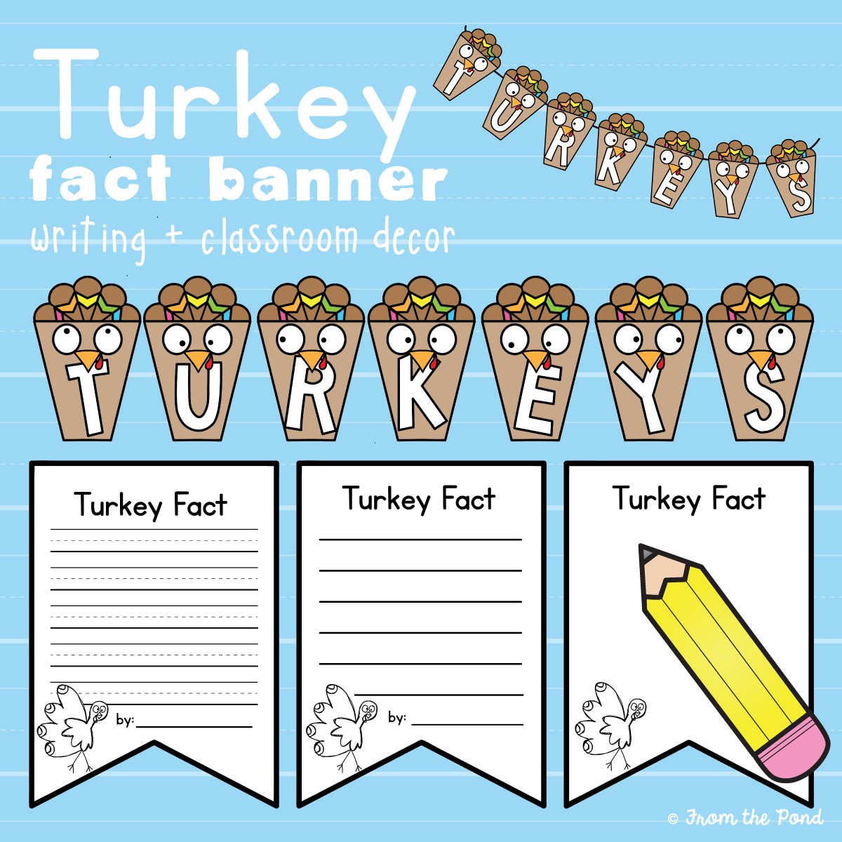 Turkey Fact Banner