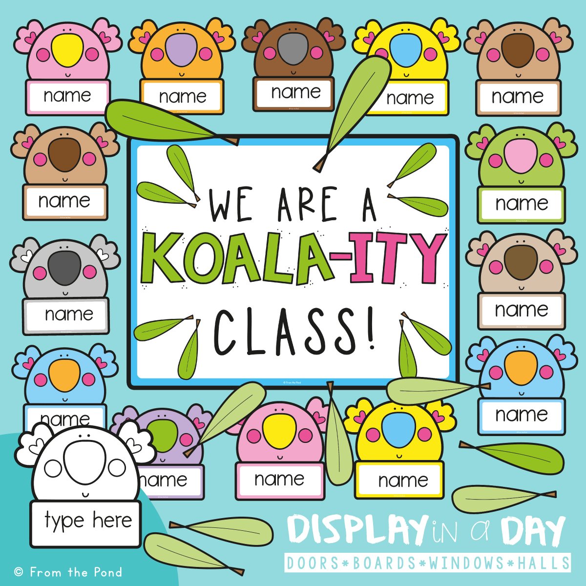 Koala-ity Class